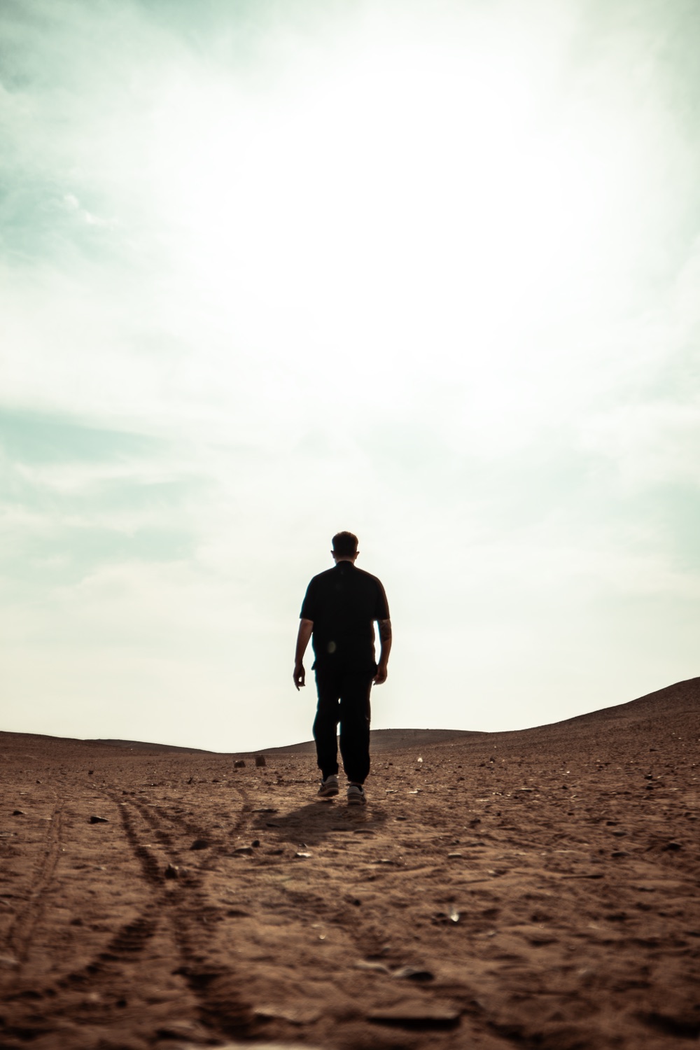 A figure walking into the desert light