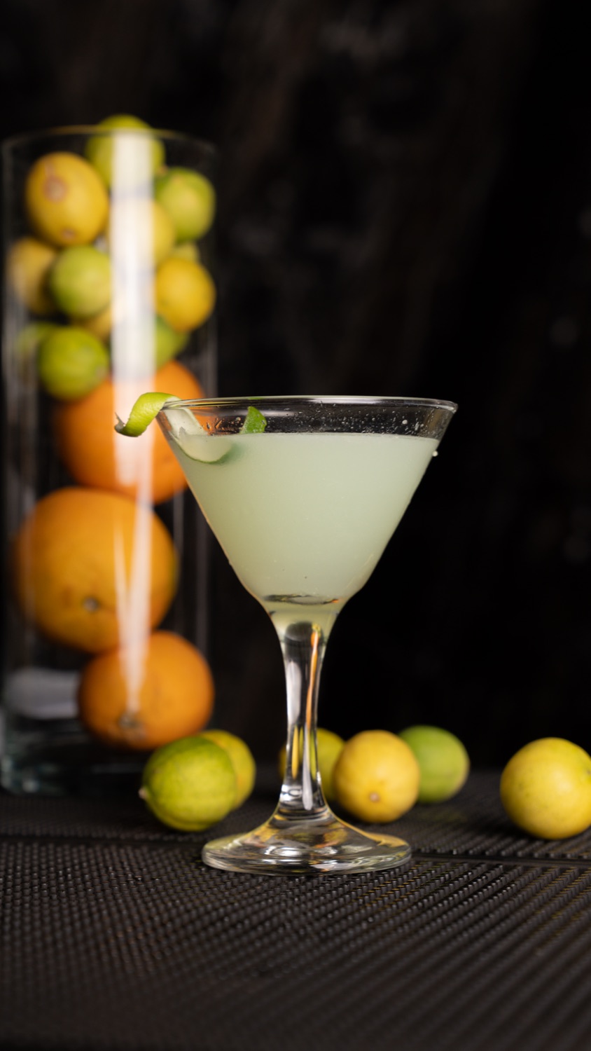 A cocktail stacked with citrus wheels