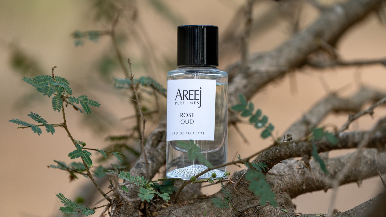 A perfume bottle resting in a tree