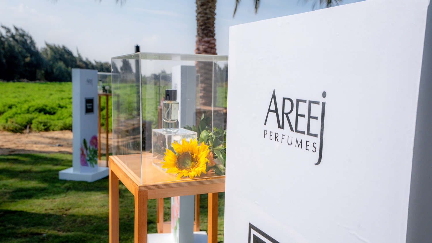 The Areej perfume display beside a sunflower